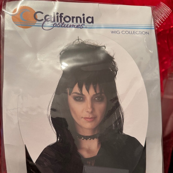 Lydia Costume, large with wig - Picture 5 of 5